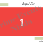 Layout 12